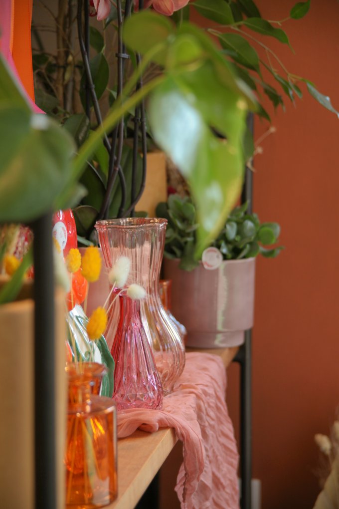 Un Jardin dans ma Ville - Édition 2025 photo 7